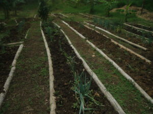 10. Conservación del suelo. Eras de cultivo