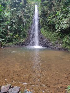 11. Quebradas de la región Andina de Colombia