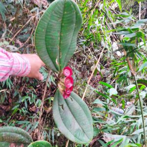 14. Conservacion de biodiversidad