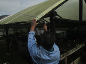 19. Planificación de fincas. Mejoras, vivero agroforestal