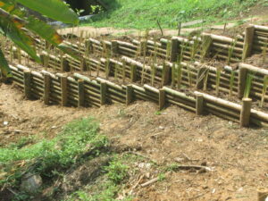 2. Conservación del suelo. Bioingeniería