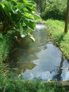 20. Conservación del agua. Descontaminación del agua