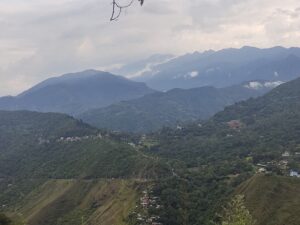 4. Bosques de la región Andina de Colombia