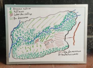4. Planificación de fincas. Nivel finca