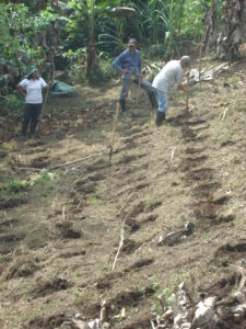 5. Conservación del suelo. Labranza mínima