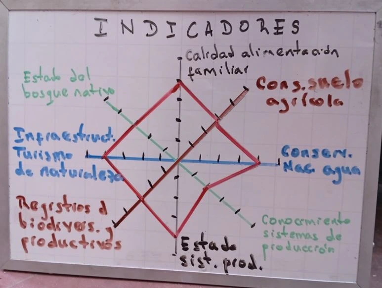 Telaraña de indicadores